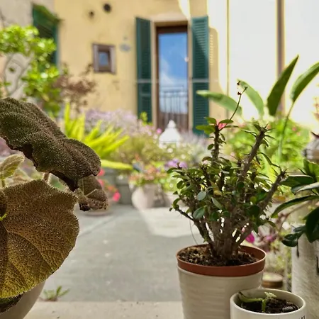 Apartment A37 - Varano, Nuovo Bilocale Nel Parco Del Conero *